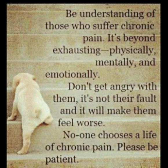 🇩🇪 OOAK FORGED SKILLET & Hand Painted EDELWEISS VINTAGE BEAUTY MCM - Picture 6 of 16